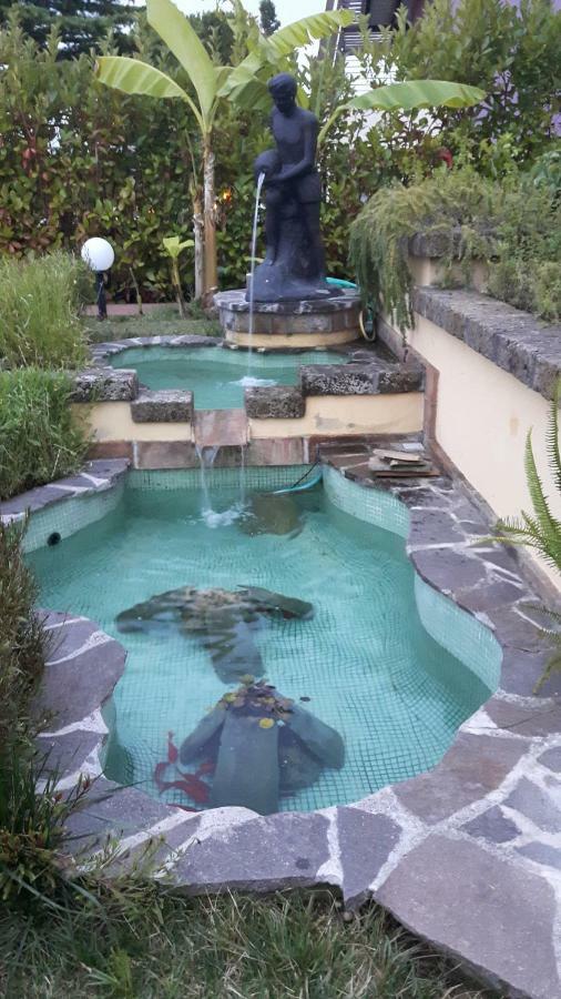 Villa Letizia Pineta Exteriér fotografie